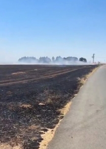 Silivri’de anız yangınında vatandaşlar seferber oldu: Traktörler ve çalılarla müdahale ettiler
