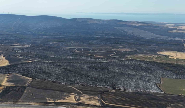 Tekirdağ’da başlayarak Çanakkale’ye ulaşan orman yangınında yanan yerler dron ile görüntülendi
