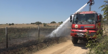 Kırklareli’nde çıkan yangında 20 dekar ceviz bahçesi zarar gördü