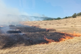 Manyas’ta anız ve makilik alanda çıkan yangın kontrol altına alındı