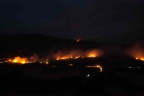 Sakarya-Bilecik sınırında alevler yeniden yükseldi