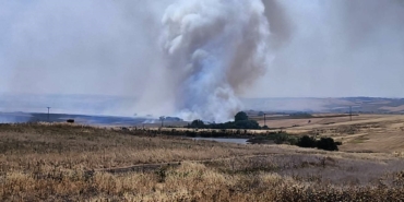 Hayrabolu’da çıkan anız yangını söndürüldü