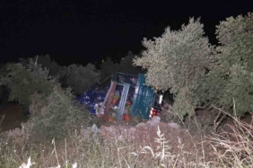 Biber yüklü kamyon zeytinliğe uçtu: 1 yaralı