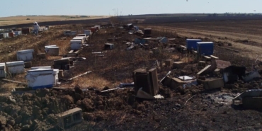 Anız yangını 400 arı kovanını kül etti