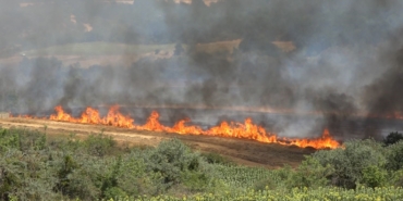 Kırklareli’nde yangın: 500 dekar tarım arazisi ve ağaçlık alan zarar gördü