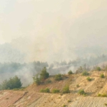 Tarihi İpek Yolu yanıyor