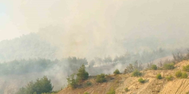 Tarihi İpek Yolu yanıyor