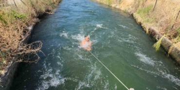 40 derecede sulama kanalında serinlediler