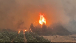 Son günlerde ülkenin çeşitli bölgelerinde çıkan yangınlarda hayatını kaybeden kahramanlar için Gazeteci Halit Soytürk’ten duygulandıran mesaj. Yangınlara müdahale ederken şehit olan orman işçileri, İtfaiye personeli ve AFAD gönüllülerine rahmet dileyen Soytürk, “Bu vatan için canlarını ortaya koyan kahramanlarımıza Allah’tan rahmet, yakınlarına sabır diliyorum. Milletimizin başı sağ olsun” ifadelerini kullandı. Soytürk, mesajında ayrıca doğal afetlerle mücadelede gösterilen özverinin asla unutulmaması gerektiğini vurguladı. Yangınlarda hayatını kaybedenlerin sadece görev değil, insanlık adına da büyük bir fedakârlık örneği sergilediklerini belirterek, toplumun her kesimini doğaya ve afetlere karşı daha duyarlı olmaya davet etti.