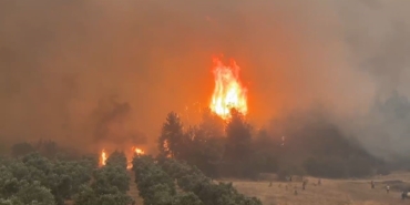 Son günlerde ülkenin çeşitli bölgelerinde çıkan yangınlarda hayatını kaybeden kahramanlar için Gazeteci Halit Soytürk’ten duygulandıran mesaj. Yangınlara müdahale ederken şehit olan orman işçileri, İtfaiye personeli ve AFAD gönüllülerine rahmet dileyen Soytürk, “Bu vatan için canlarını ortaya koyan kahramanlarımıza Allah’tan rahmet, yakınlarına sabır diliyorum. Milletimizin başı sağ olsun” ifadelerini kullandı. Soytürk, mesajında ayrıca doğal afetlerle mücadelede gösterilen özverinin asla unutulmaması gerektiğini vurguladı. Yangınlarda hayatını kaybedenlerin sadece görev değil, insanlık adına da büyük bir fedakârlık örneği sergilediklerini belirterek, toplumun her kesimini doğaya ve afetlere karşı daha duyarlı olmaya davet etti.