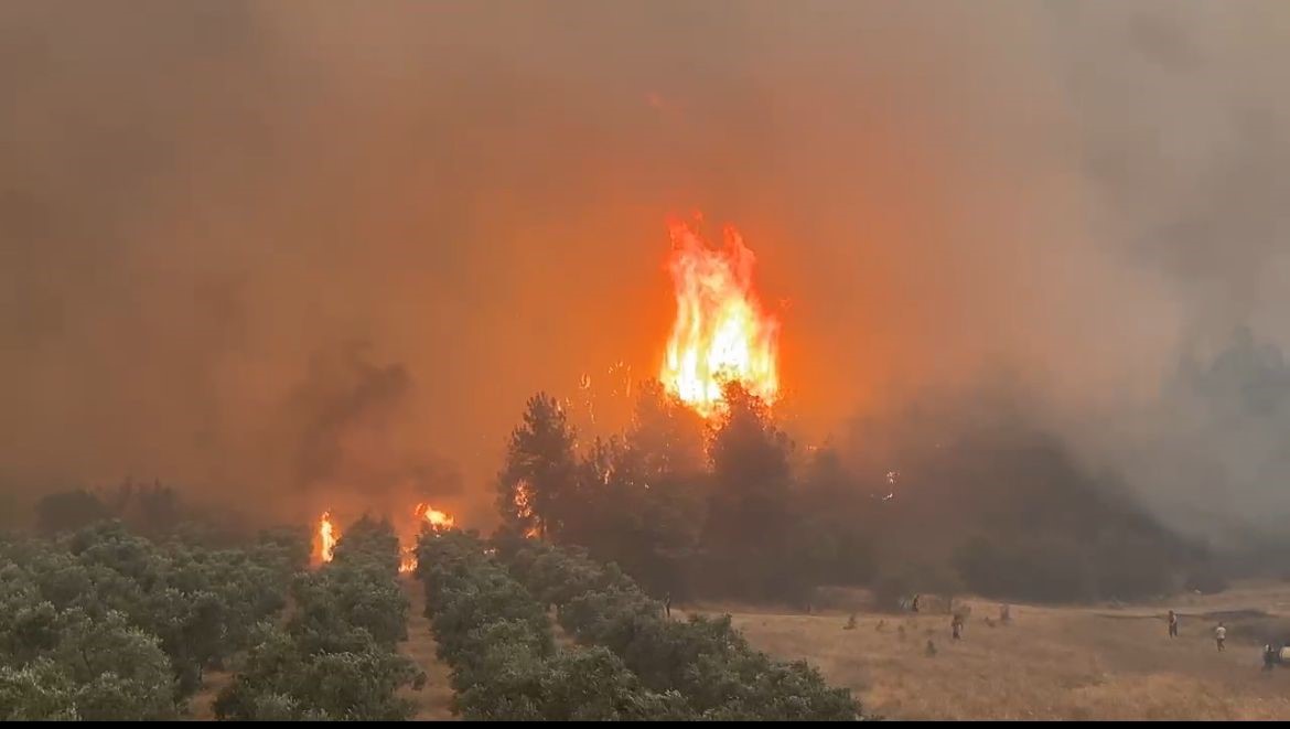Son günlerde ülkenin çeşitli bölgelerinde çıkan yangınlarda hayatını kaybeden kahramanlar için Gazeteci Halit Soytürk’ten duygulandıran mesaj. Yangınlara müdahale ederken şehit olan orman işçileri, İtfaiye personeli ve AFAD gönüllülerine rahmet dileyen Soytürk, “Bu vatan için canlarını ortaya koyan kahramanlarımıza Allah’tan rahmet, yakınlarına sabır diliyorum. Milletimizin başı sağ olsun” ifadelerini kullandı. Soytürk, mesajında ayrıca doğal afetlerle mücadelede gösterilen özverinin asla unutulmaması gerektiğini vurguladı. Yangınlarda hayatını kaybedenlerin sadece görev değil, insanlık adına da büyük bir fedakârlık örneği sergilediklerini belirterek, toplumun her kesimini doğaya ve afetlere karşı daha duyarlı olmaya davet etti.
