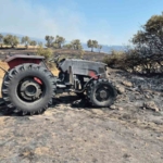 Şarköy’de orman yangınında araçlar küle döndü
