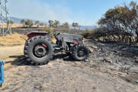 Şarköy’de orman yangınında araçlar küle döndü