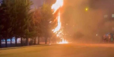 Çocukların torpille oyunu ağaçlık alanı tutuşturdu: Çok sayıda ağaç küle döndü