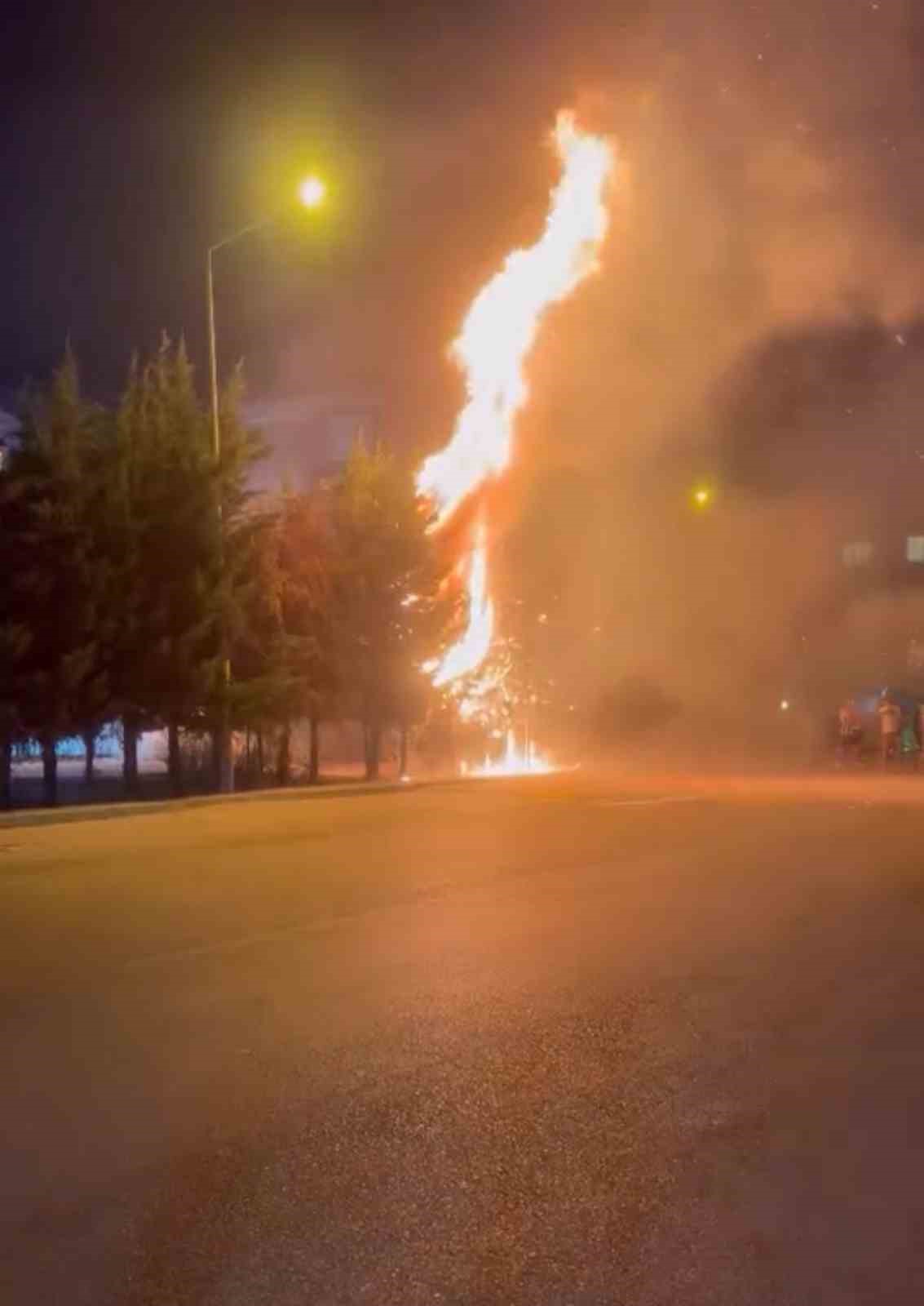 Çocukların torpille oyunu ağaçlık alanı tutuşturdu: Çok sayıda ağaç küle döndü