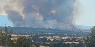 Bulgaristan’daki orman yangını Türkiye sınırına dayandı