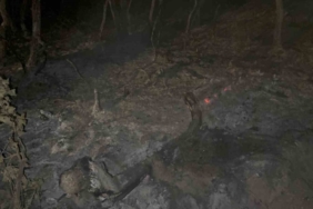 Gebze’de gece yarısı orman yangını: 7 dönüm alan kül oldu