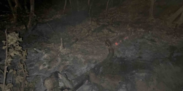 Gebze’de gece yarısı orman yangını: 7 dönüm alan kül oldu