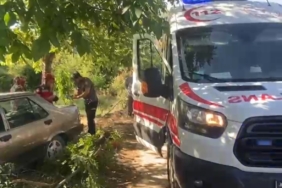 Kontrolden çıkan Tofaş ağaca çarptı: Karı-koca yaralandı