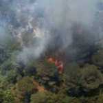 Sultangazi Kent Ormanı’nda yangın: İtfaiye ekipleri alevlere müdahale ediyor