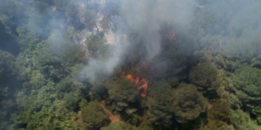 Sultangazi Kent Ormanı’nda yangın: İtfaiye ekipleri alevlere müdahale ediyor