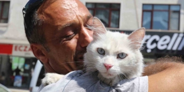 Kayıp kedisine günler sonra kavuştu, bu kez mutluluktan ağladı