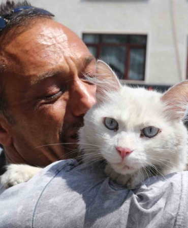 Kayıp kedisine günler sonra kavuştu, bu kez mutluluktan ağladı