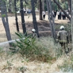 Bakırköy Ruh ve Sinir Hastalıkları Hastanesi bahçesinde yangın