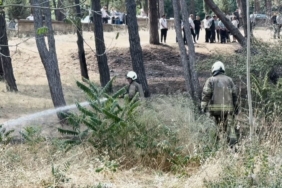 Bakırköy Ruh ve Sinir Hastalıkları Hastanesi bahçesinde yangın