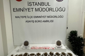 Maltepe’de uyuşturucu operasyonunda 1 kişi tutuklandı