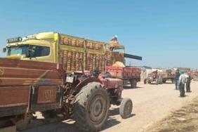 Ayvacık’ta yangından etkilenen Tuzla köyünde üreticilere destek