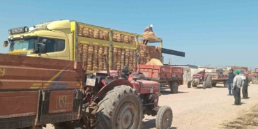 Ayvacık’ta yangından etkilenen Tuzla köyünde üreticilere destek