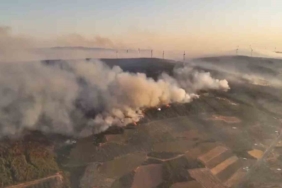 Şarköy’deki orman yangını 22. saatine girdi