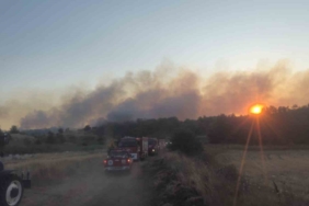 Tekirdağ’da eski kömür ocağı sahasında yangın