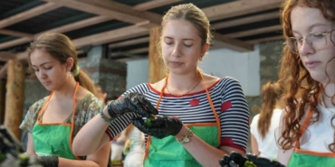 Coğrafi tescilli Gürsu armudu yabancı ellerde kurabiye oldu