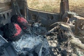 Orman yangınından geriye alevlerin erittiği karpuzlar ve simsiyah baret kaldı