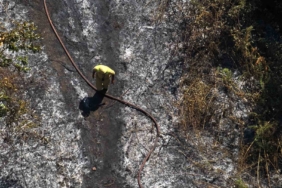 Yalova’da çıkan orman yangını büyümeden söndürüldü