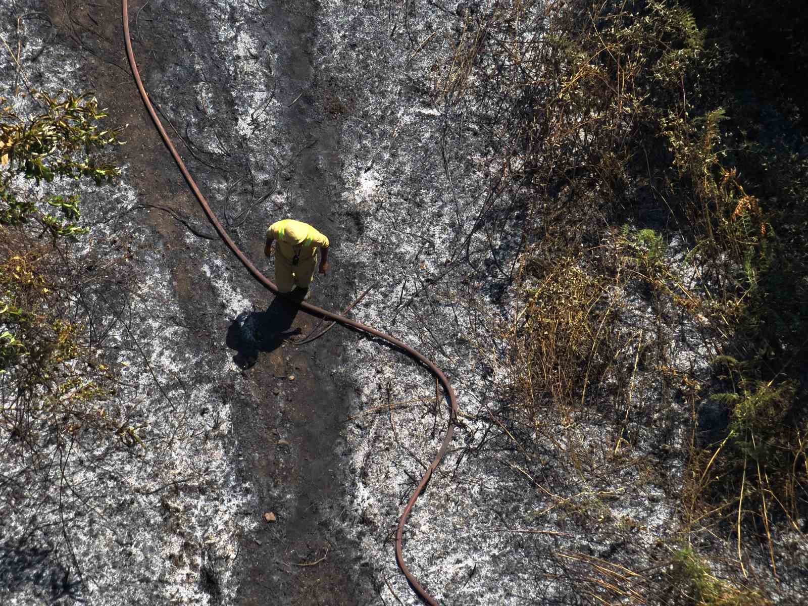 Yalova’da çıkan orman yangını büyümeden söndürüldü