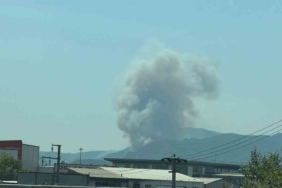 Geyve’de ikinci orman yangını çıktı