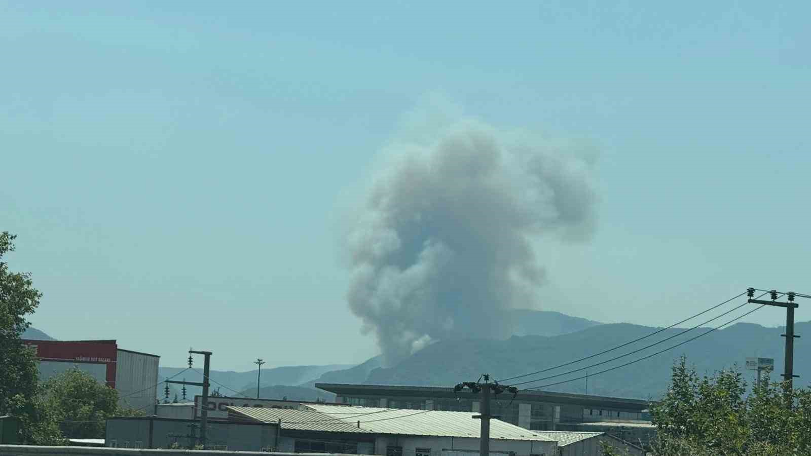 Geyve’de ikinci orman yangını çıktı