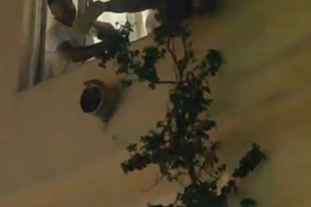 Camdan sarktı ikna edilemeyince müdahale edildi