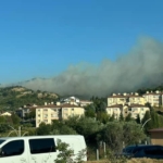 Karamürsel’de orman yangını başladı