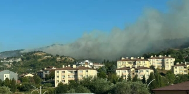 Karamürsel’de orman yangını başladı