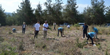 Hükümlüler, 15 Temmuz Şehitleri anısına fidanları toprakla buluşturdu