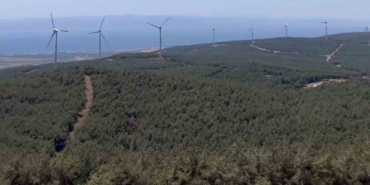 Şarköy’de orman yangınında küle dönen alanın öncesi ve sonrası yürek burktu