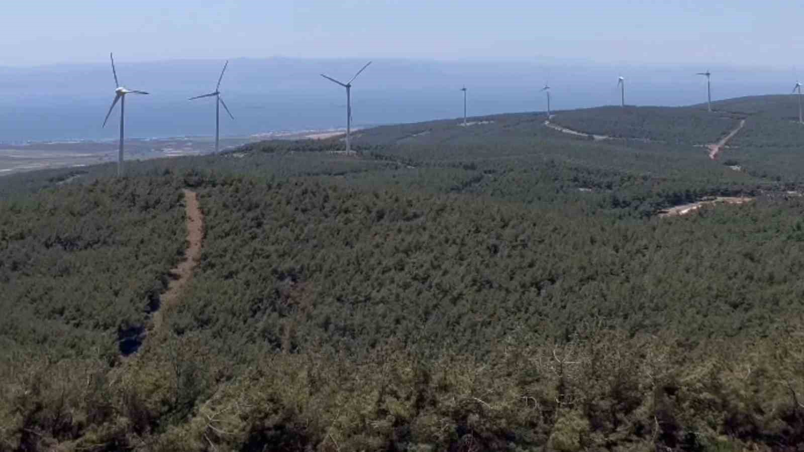Şarköy’de orman yangınında küle dönen alanın öncesi ve sonrası yürek burktu
