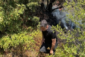 Adapazarı’nda ormanlık alanda yangın çıktı