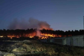 Balıkesir Savaştepe’de çıkan orman yangınına müdahale sürüyor