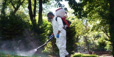 Şişli’de kene ve sineklere karşı etkin mücadele