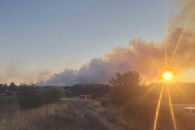 Tekirdağ’daki yangın kontrol altına alındı